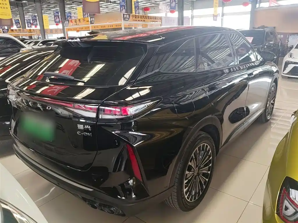 Yaoguang C-DM 瑶光C-DM 2024款 1.5 T 超长续航Pro