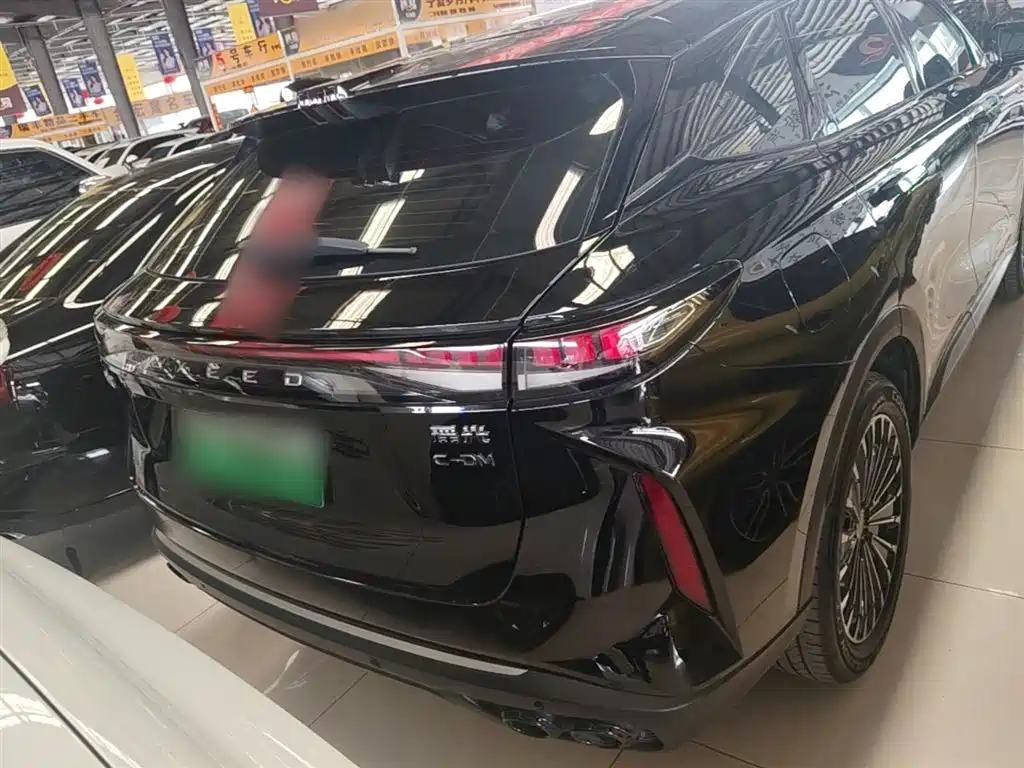 Yaoguang C-DM 瑶光C-DM 2024款 1.5 T 超长续航Pro