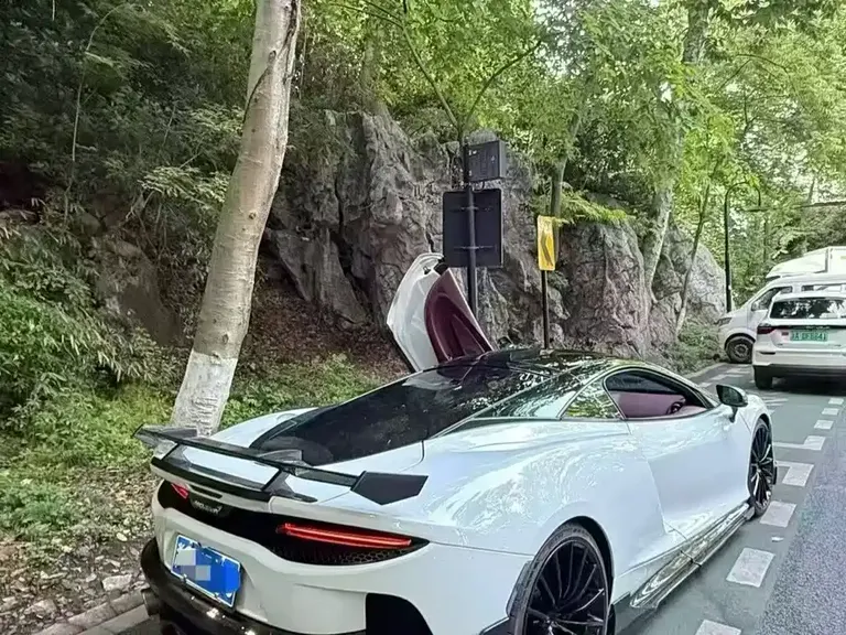 McLaren GT 4.0 T Standard
