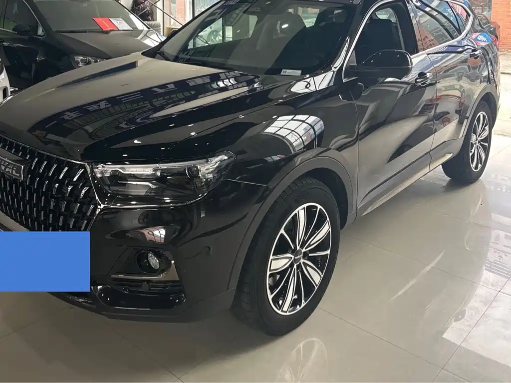 Haval H6 China Style 1.5 T Auto Champion