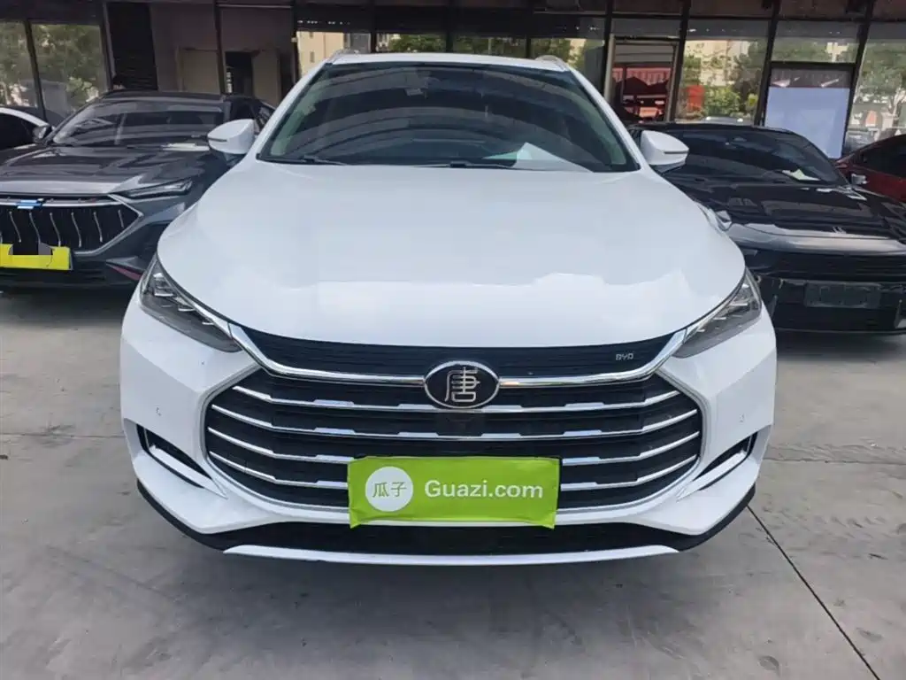 Tang 2.0 T Auto Connected Distinguished 7-seat CN-VI