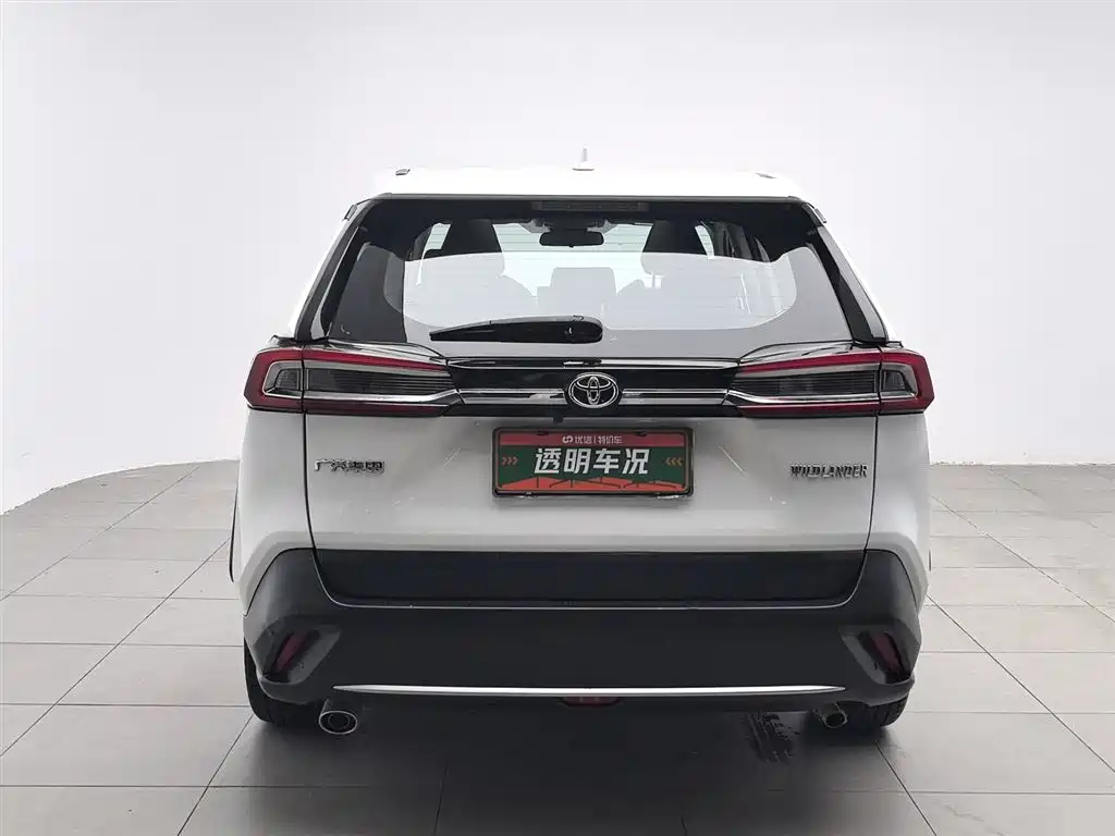Wildlander 2.0 L CVT 2 WD Luxury