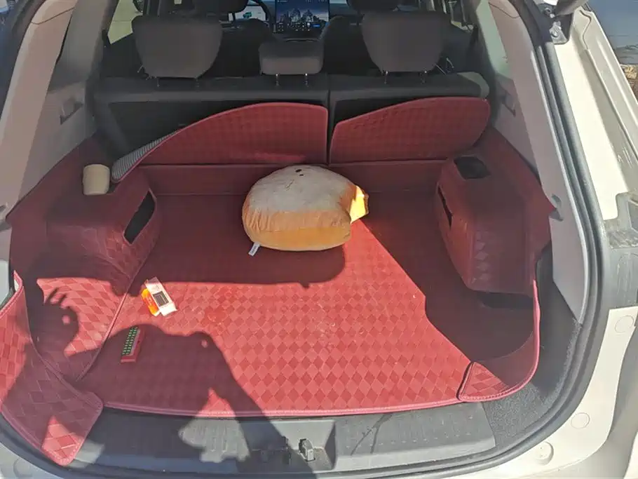 Fengyun T8 风云T8 2025款 1.5 T 130 km 豪华版 5座