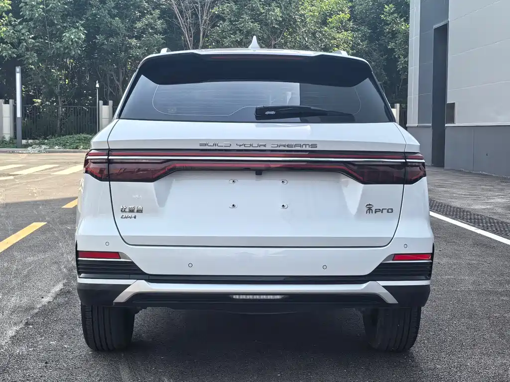 Song Pro NEV DM-i 110 km Flagship