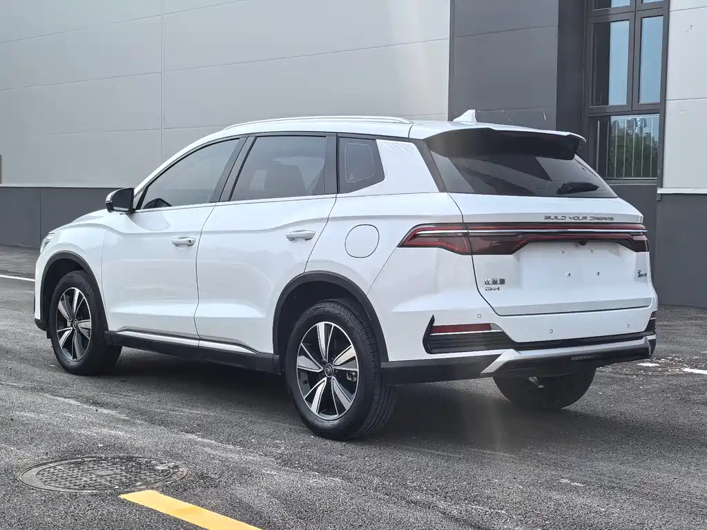 Song Pro NEV DM-i 110 km Flagship