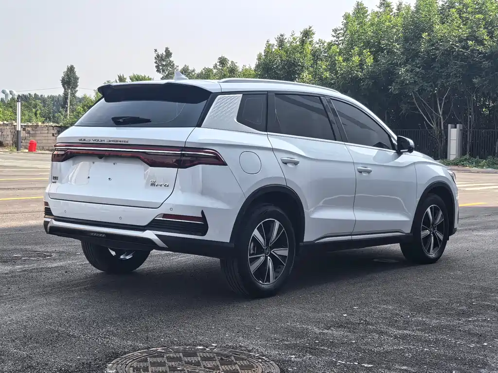 Song Pro NEV DM-i 110 km Flagship