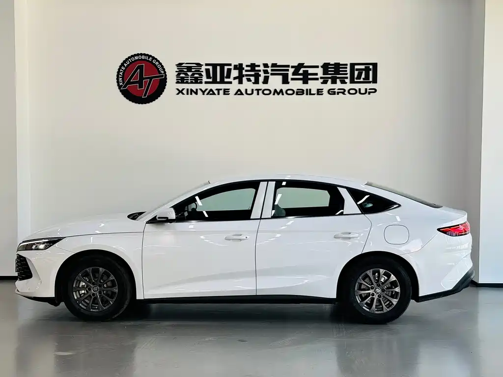 Qin L DM-i 128 KM Leading