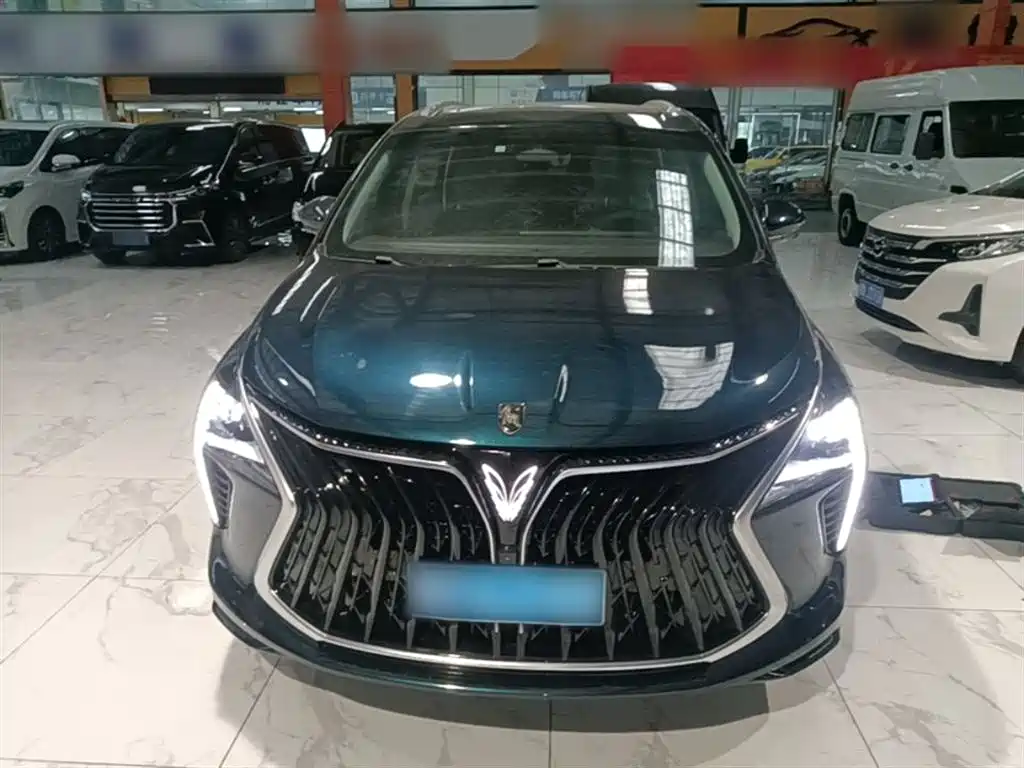 Fengxing Yacht 1.5 T DCT Wave Chaser