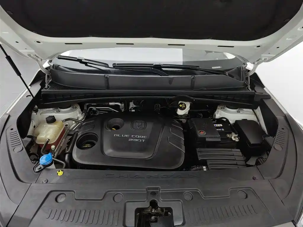 Changan CS55 1.5 T Manual Vivid Color