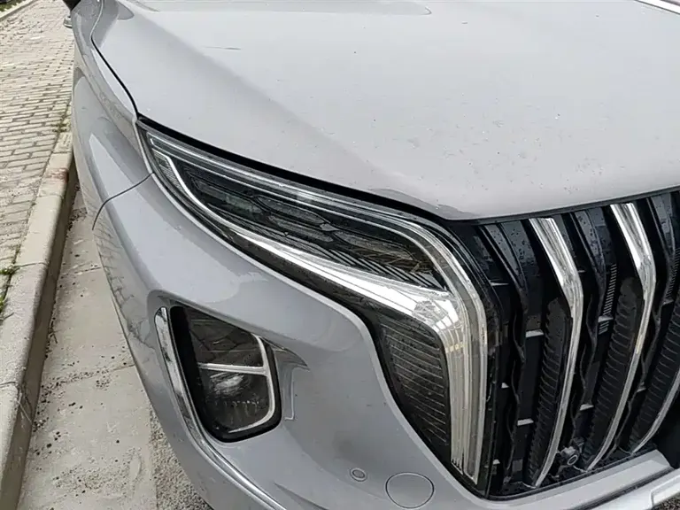 Hongqi HS7 PHEV 红旗HS7 PHEV 2024款 2.0 T PHEV 四驱旗领版 6座