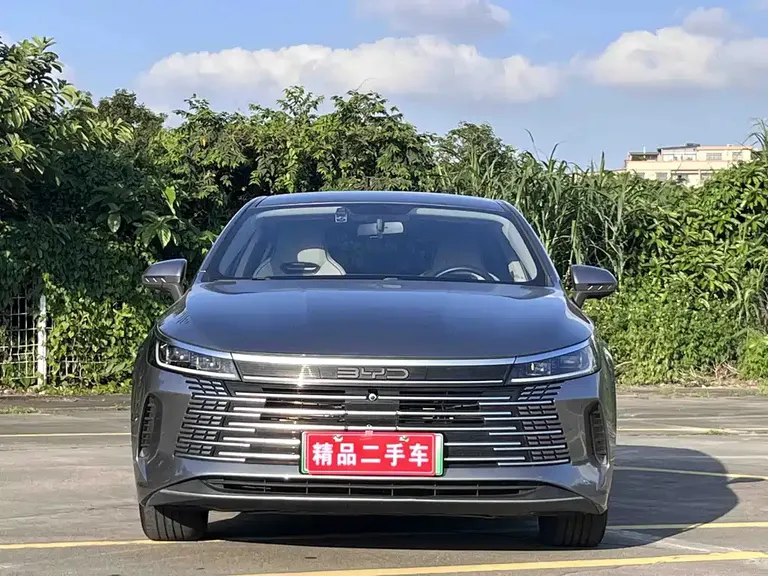 BYD Destroyer 05 Glory DM-i 55 KM Luxury