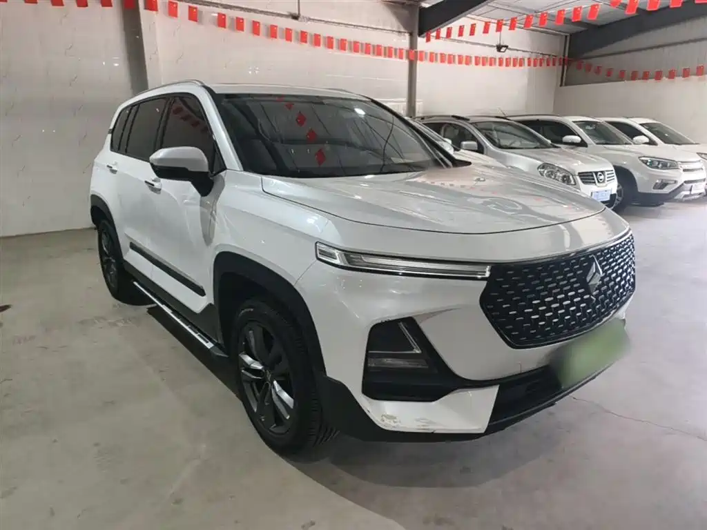 Baojun RS-5 1.5 T CVT Intelligent Drive Control Luxury CN-VI