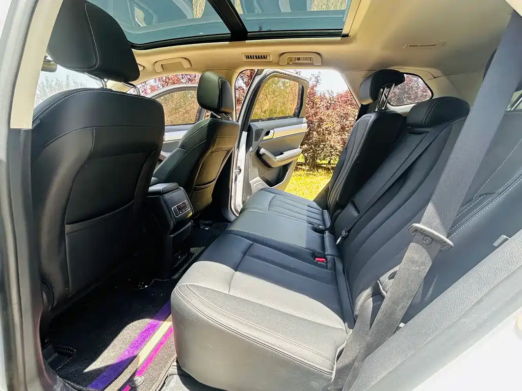 Tang 2.0 T Auto Connected Distinguished 7-seat CN-VI