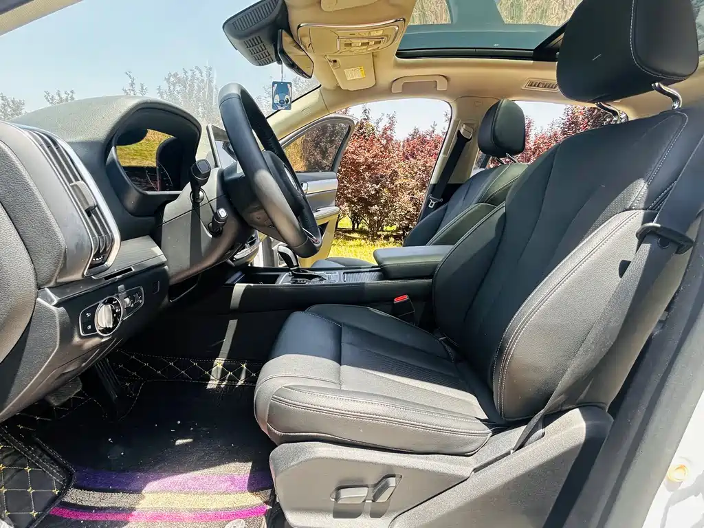 Tang 2.0 T Auto Connected Distinguished 7-seat CN-VI