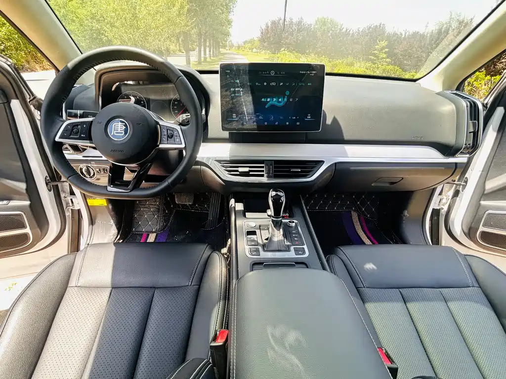 Tang 2.0 T Auto Connected Distinguished 7-seat CN-VI