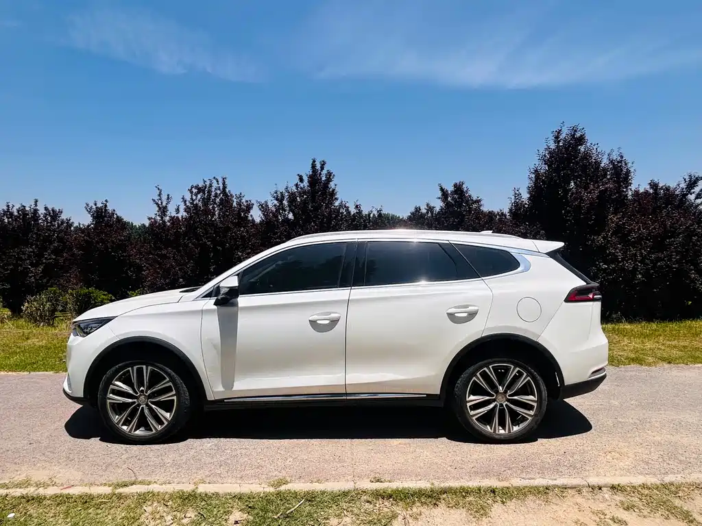 Tang 2.0 T Auto Connected Distinguished 7-seat CN-VI