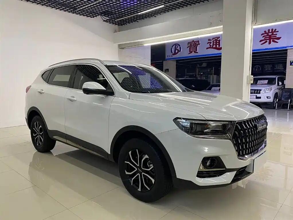 Haval H6 China Style 1.5 T Auto Urban