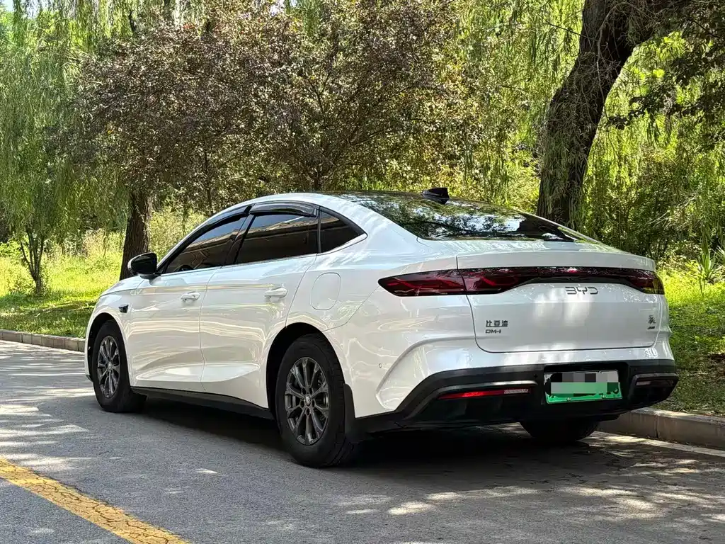 Qin L DM-i Smart Drive 80 KM Leading