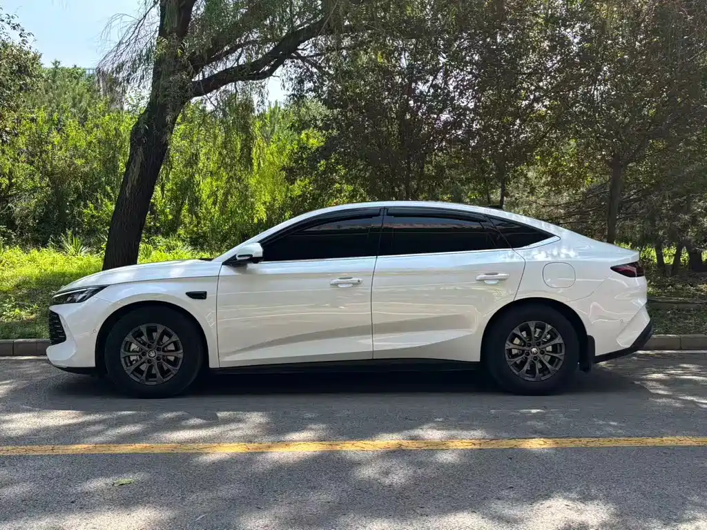 Qin L DM-i Smart Drive 80 KM Leading