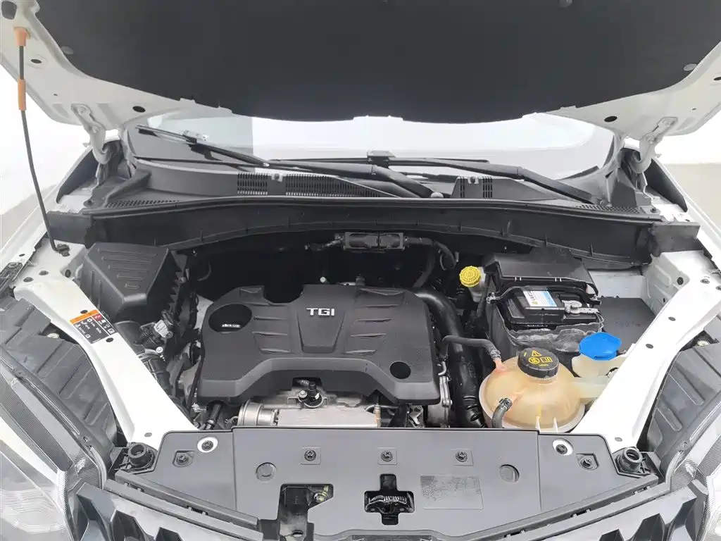 Ruiteng 1.5 TGI TST Luxury