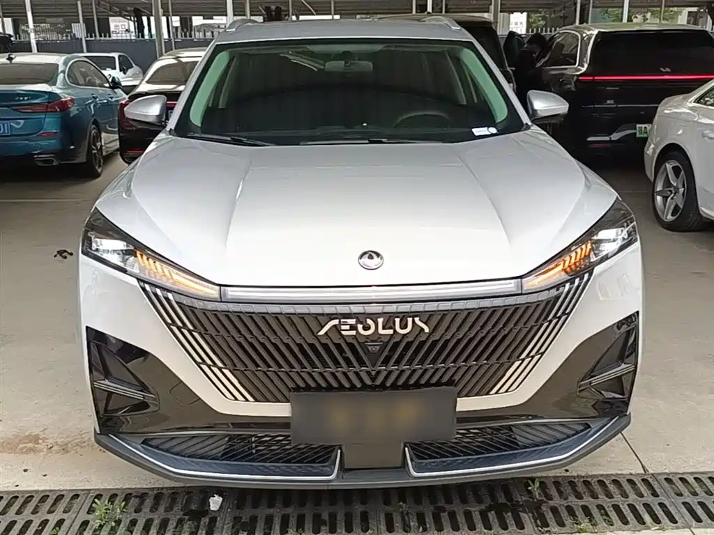 Haohan 皓瀚 2025款 1.5 T 豪华版