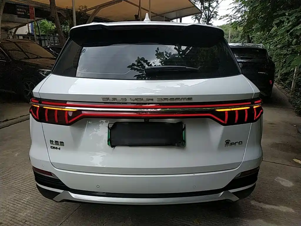 Song Pro NEV DM-i 110 km Flagship