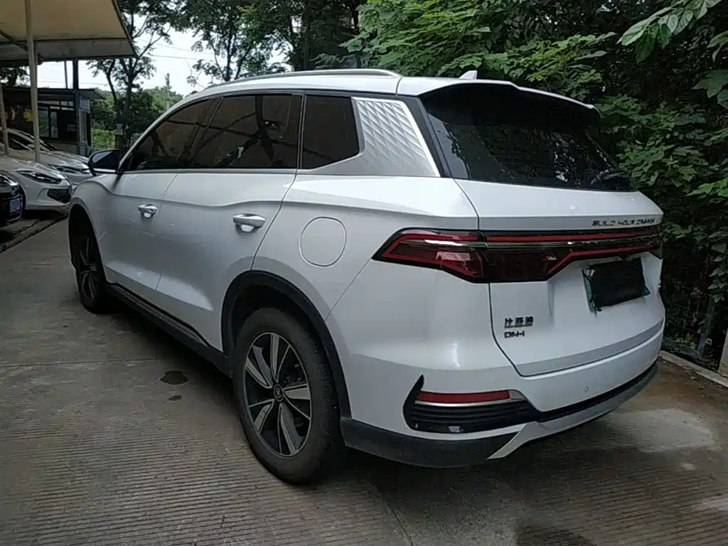 Song Pro NEV DM-i 110 km Flagship