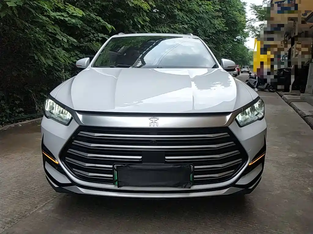 Song Pro NEV DM-i 110 km Flagship