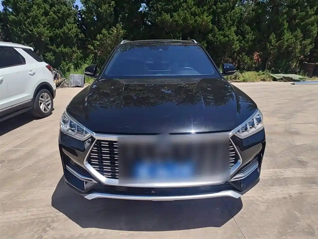 Song PLUS 1.5 T Auto Flagship