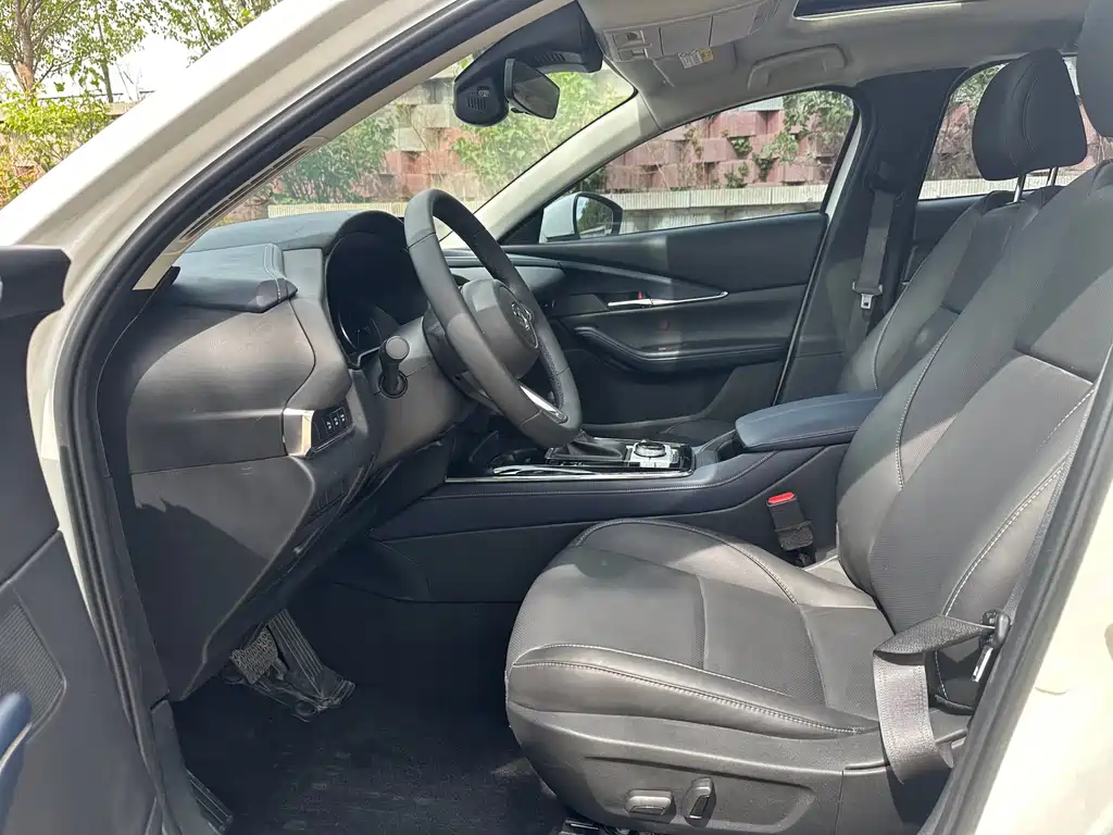 Mazda CX-30 2.0 L Auto Elegant Joy