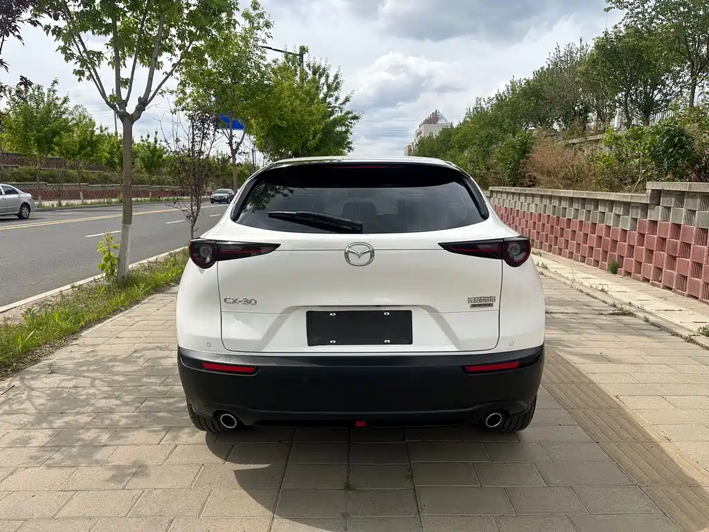 Mazda CX-30 2.0 L Auto Elegant Joy