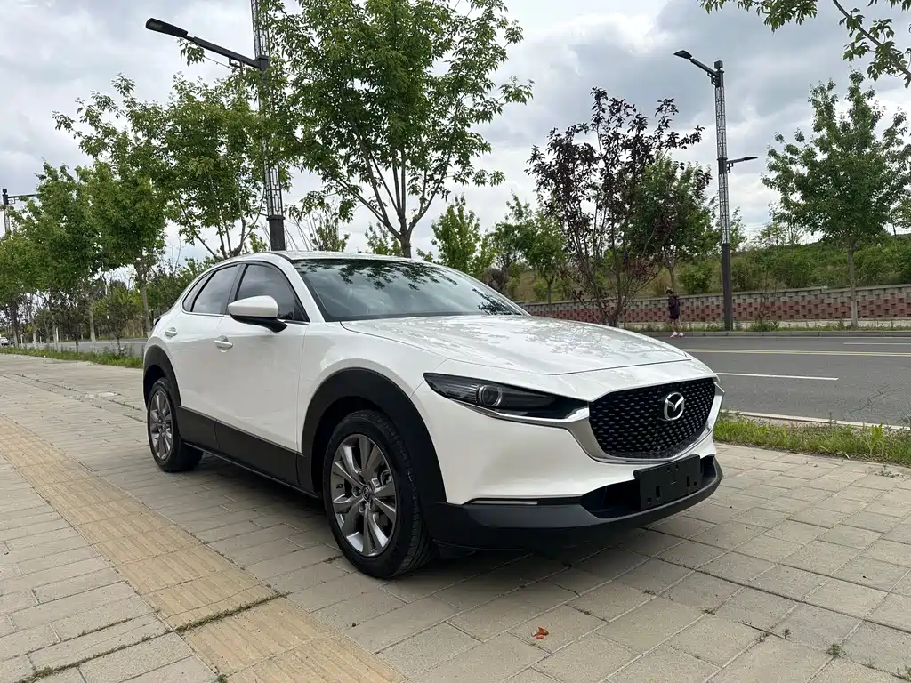 Mazda CX-30 2.0 L Auto Elegant Joy