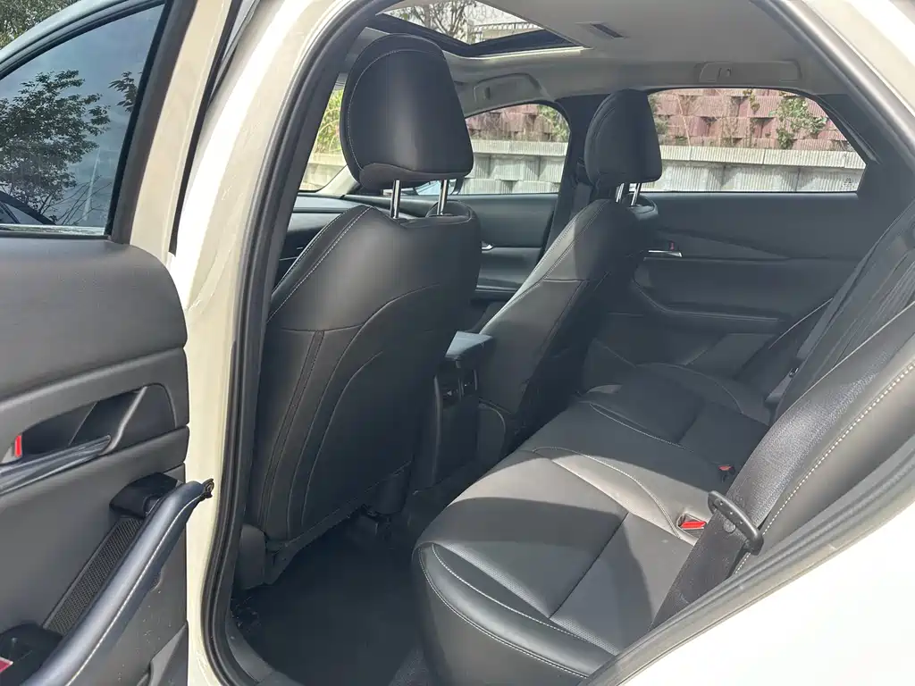 Mazda CX-30 2.0 L Auto Elegant Joy