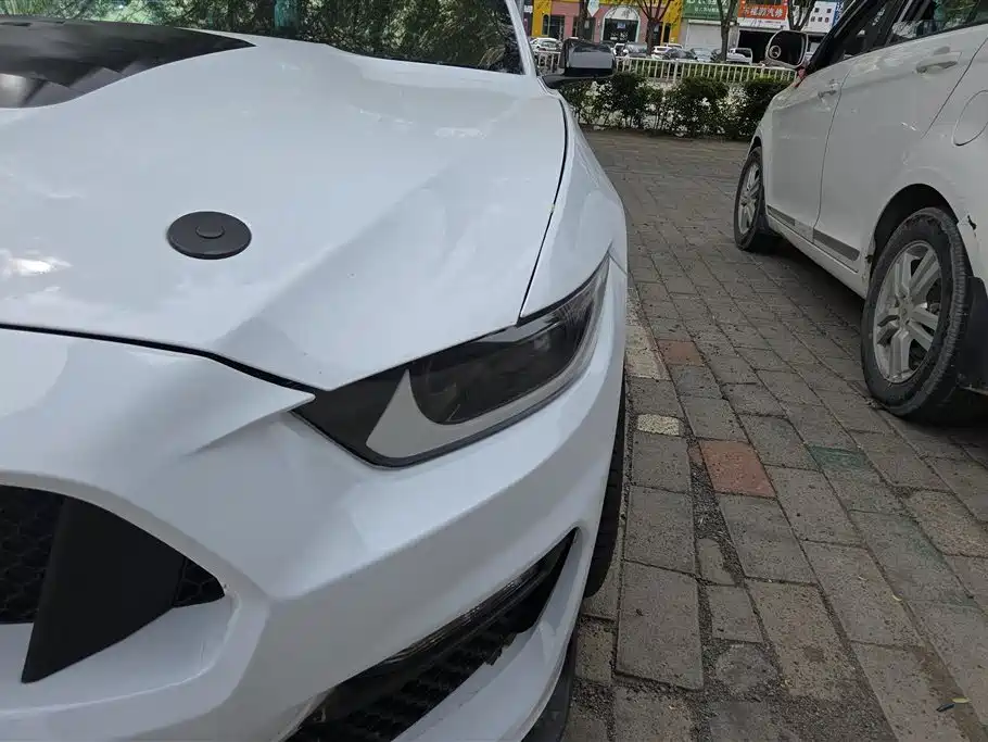 Mustang 2.3 T Performance