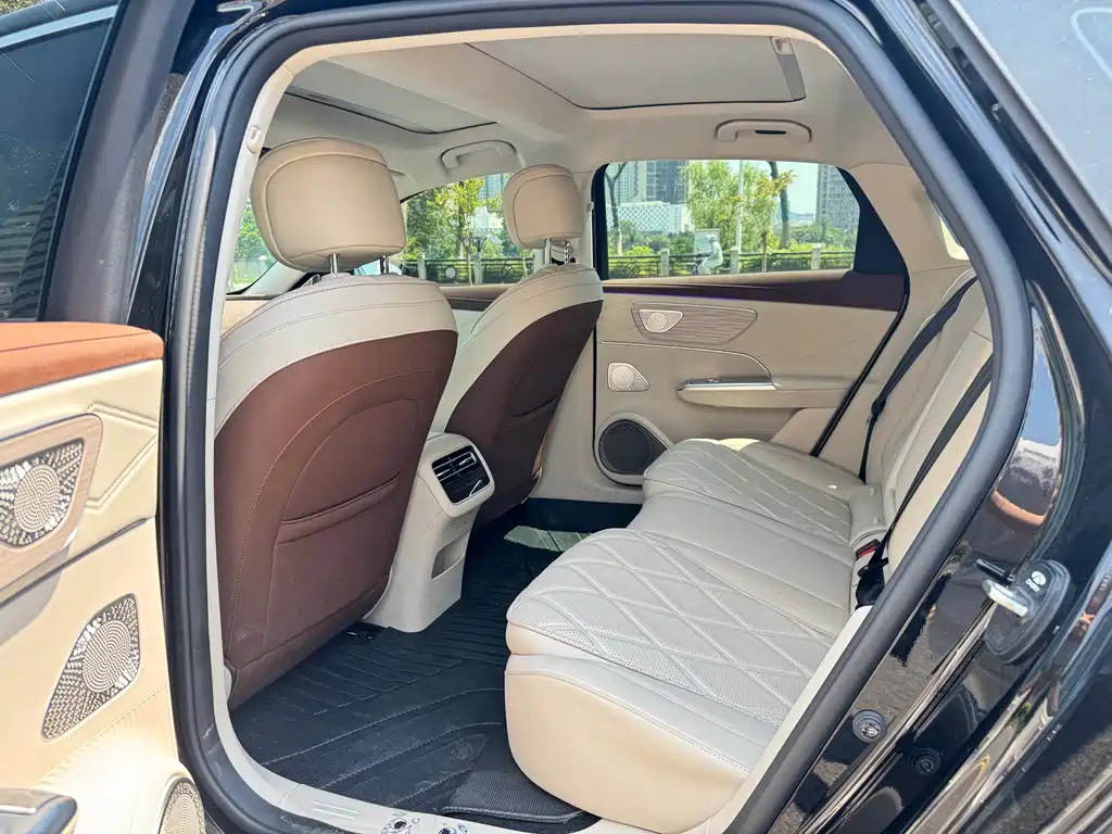 Fengyun A9 L 260 Ultra Long Range Luxury