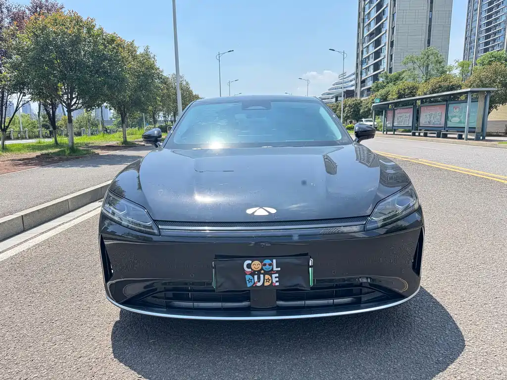 Fengyun A9 L 260 Ultra Long Range Luxury