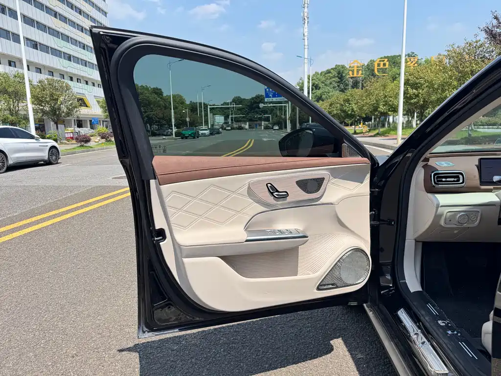 Fengyun A9 L 260 Ultra Long Range Luxury