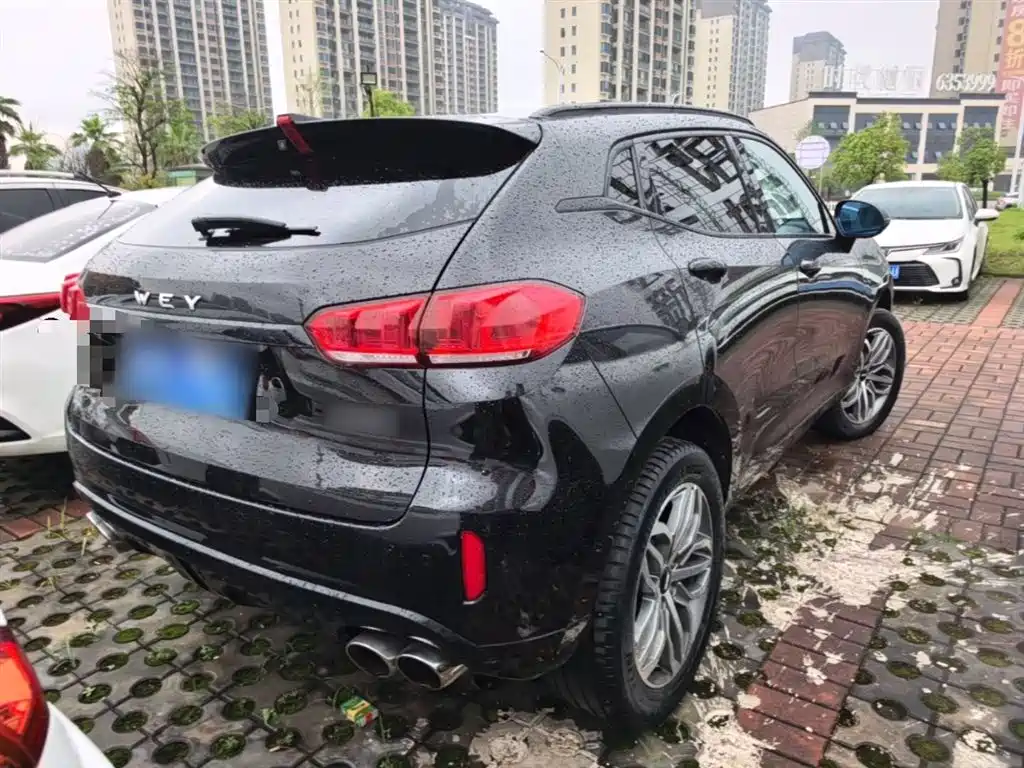 WEY VV5 2.0 T Super Luxury