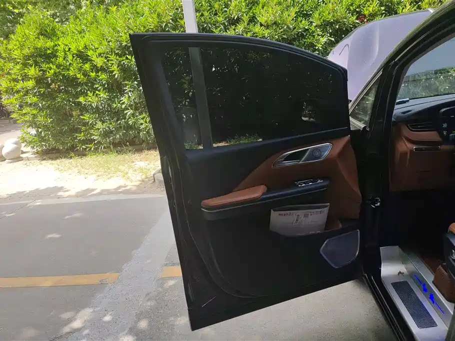 Hongqi HQ9 2.0 T Connected Flagship Charm
