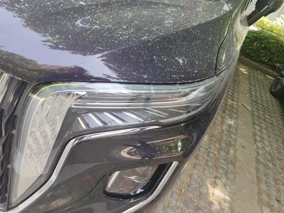 Hongqi HQ9 2.0 T Connected Flagship Charm