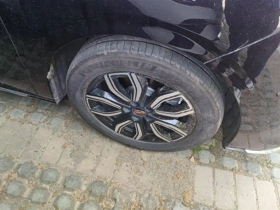 Hongqi HQ9 2.0 T Connected Flagship Charm