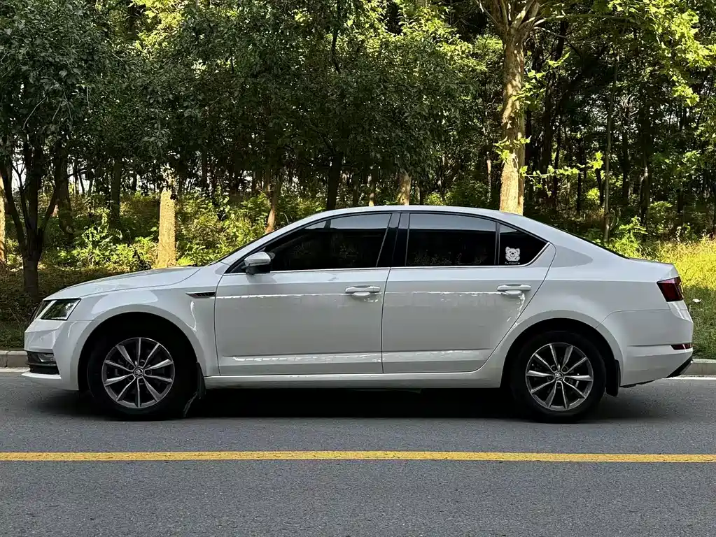 Octavia 明锐 2019款 1.5 L 自动智行舒适版 国VI