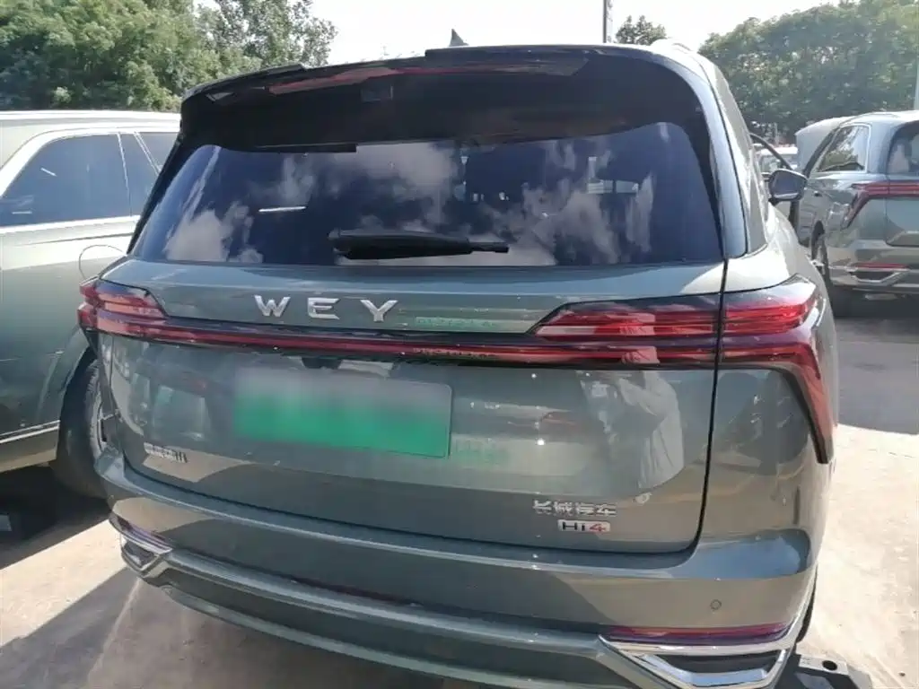 WEY Blue Mountain 4 WD Ultra