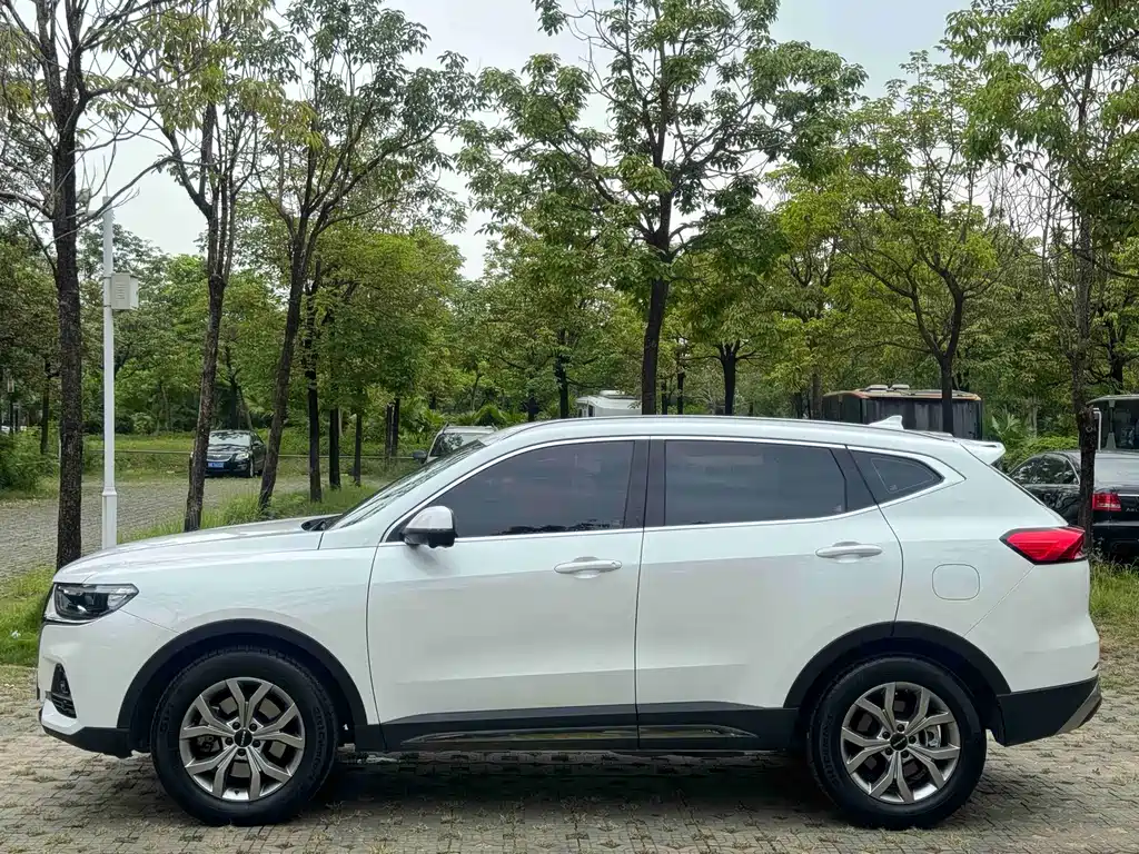 Haval H6 China Style 1.5 T Auto Champion