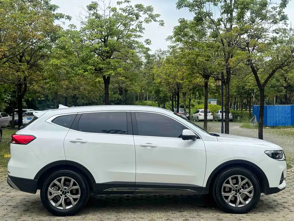 Haval H6 China Style 1.5 T Auto Champion