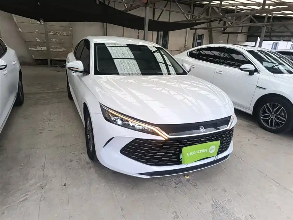 Qin L DM-i 80 KM Leading