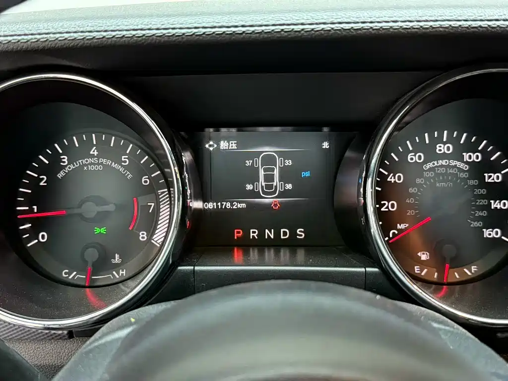 Mustang 2.3 T Performance