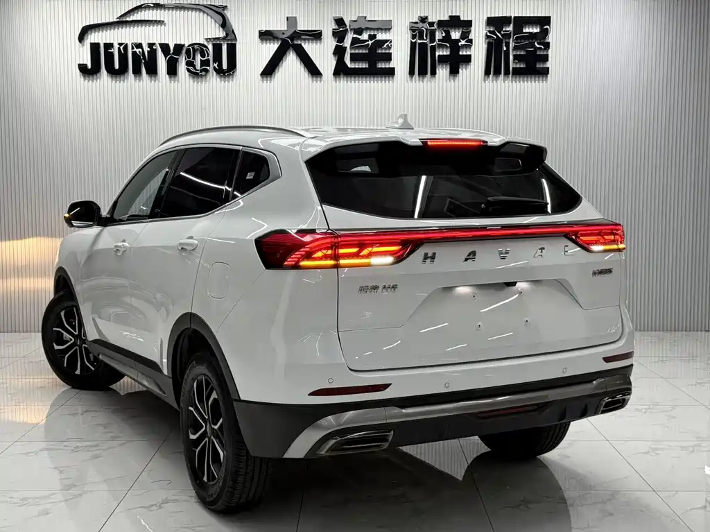 Haval H6 China Style 1.5 T Auto Urban
