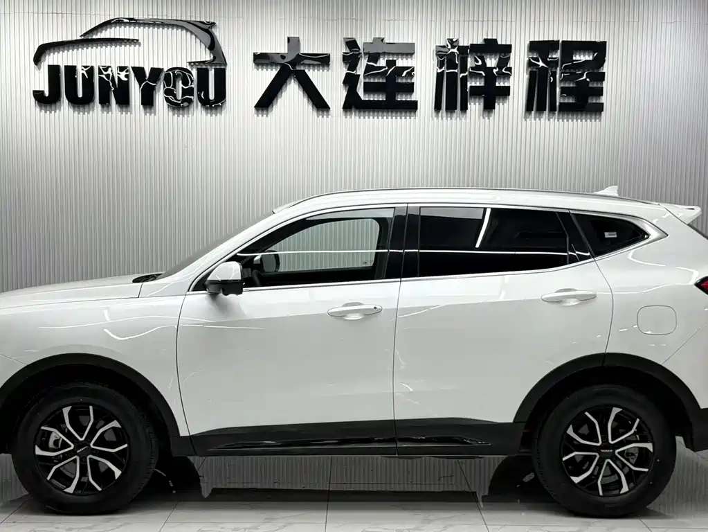 Haval H6 China Style 1.5 T Auto Urban