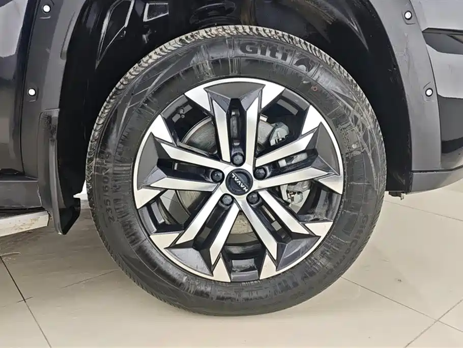 Haval Dargo PLUS 2.0 T 2 WD Trend Wild Plus